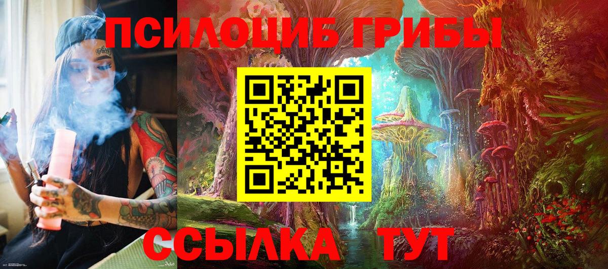 Галлюциногенные грибы ЛСД  Вход с VPN  Ногинск 